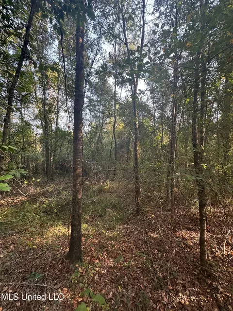 Stratton Road, Decatur, MS 39327 photo 10
