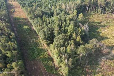 Stratton Road, Decatur, MS 39327 photo 6