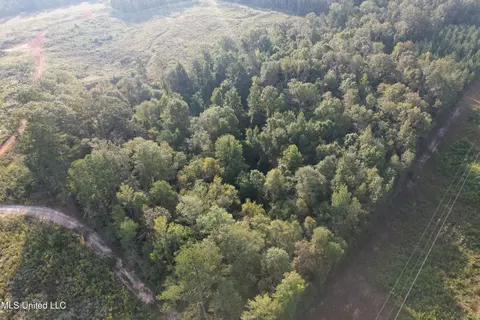 Stratton Road, Decatur, MS 39327 photo 5