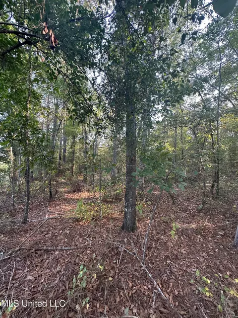Stratton Road, Decatur, MS 39327 photo 14