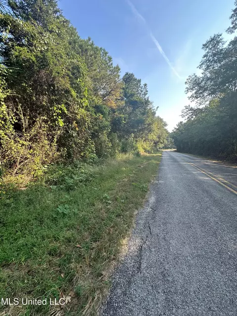 Stratton Road, Decatur, MS 39327 photo 16