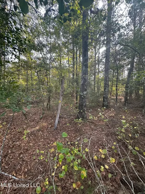 Stratton Road, Decatur, MS 39327 photo 13