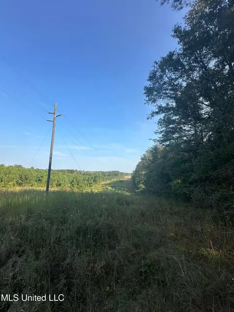 Stratton Road, Decatur, MS 39327 photo 11