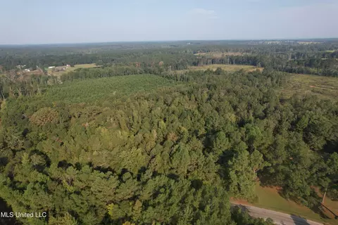 Stratton Road, Decatur, MS 39327