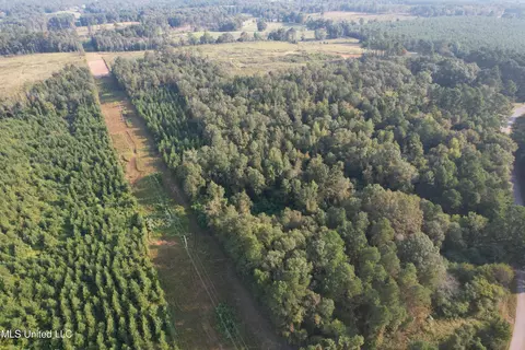 Stratton Road, Decatur, MS 39327 photo 9