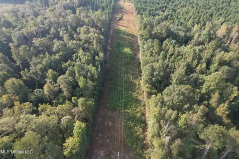Stratton Road, Decatur, MS 39327 photo 4