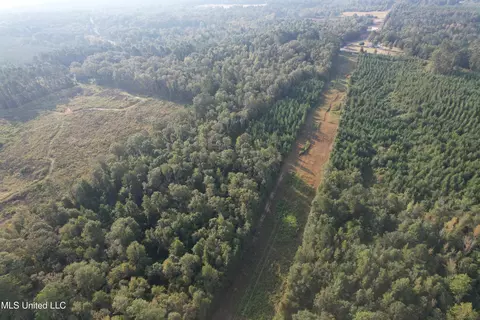 Stratton Road, Decatur, MS 39327 photo 7