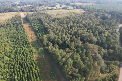Stratton Road, Decatur, MS 39327 photo 8