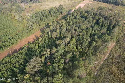 Stratton Road, Decatur, MS 39327 photo 3