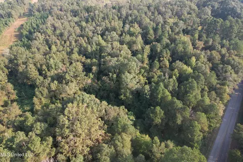 Stratton Road, Decatur, MS 39327 photo 2