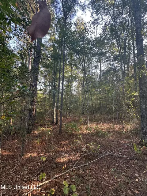Stratton Road, Decatur, MS 39327 photo 12