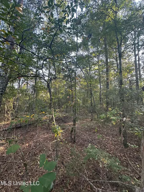 Stratton Road, Decatur, MS 39327 photo 15