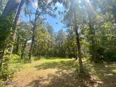 6178 Womack Ln, Summit, MS 39666 photo 6