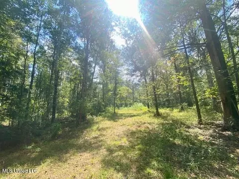 6178 Womack Ln, Summit, MS 39666 photo 3