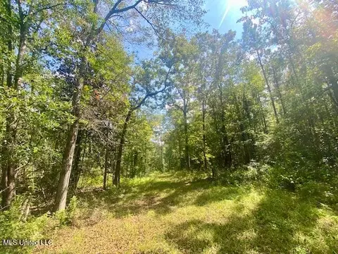 6178 Womack Ln, Summit, MS 39666 photo 5