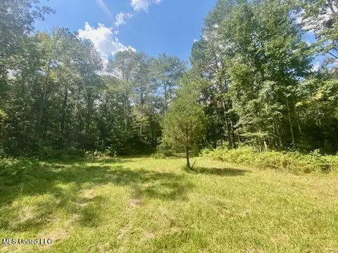 6178 Womack Ln, Summit, MS 39666 photo 2
