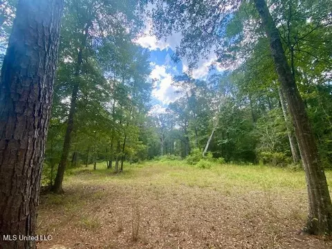 6178 Womack Ln, Summit, MS 39666 photo 18