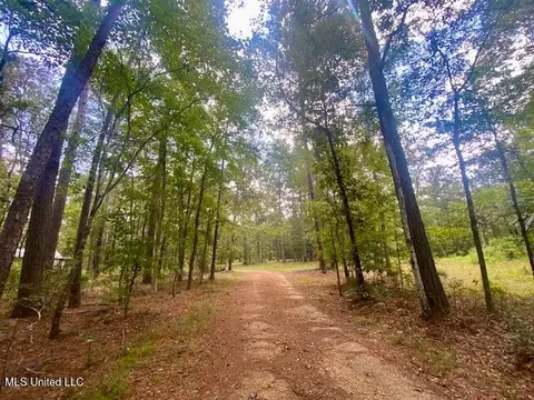 6178 Womack Ln, Summit, MS 39666 photo 19