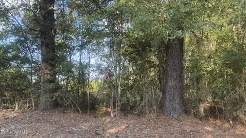 Attala Road 4041 Road, Kosciusko, MS 39090