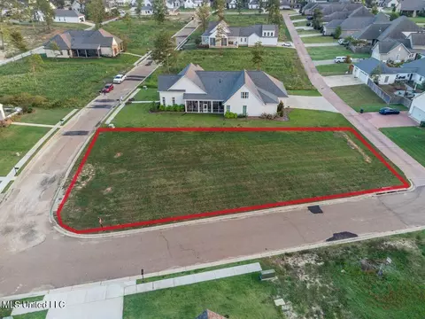 817 Arbor Pointe, Brandon, MS 39047 photo 4