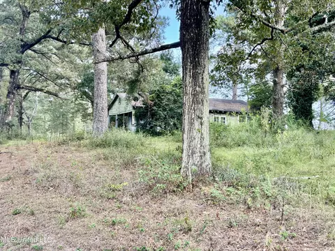 891 Ms-48, Tylertown, MS 39667