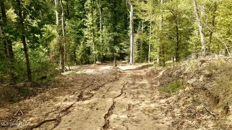 01 Abernathy Rd, Flora, MS 39071 photo 13