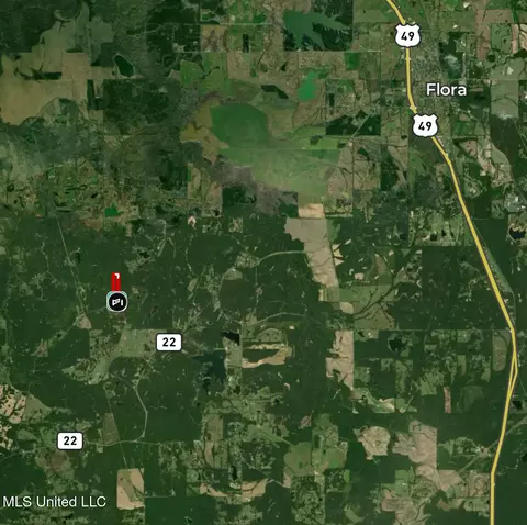 01 Abernathy Rd, Flora, MS 39071 photo 22