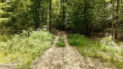 01 Abernathy Rd, Flora, MS 39071 photo 14