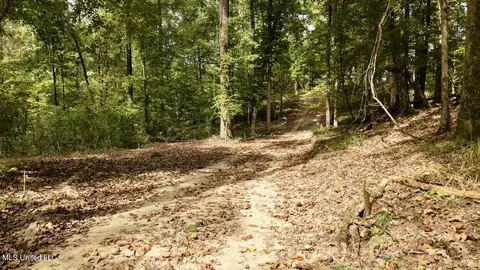 01 Abernathy Rd, Flora, MS 39071 photo 8