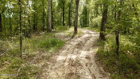 01 Abernathy Rd, Flora, MS 39071 photo 9