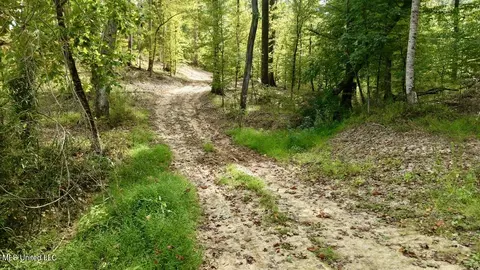 01 Abernathy Rd, Flora, MS 39071 photo 2