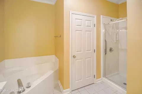 Bath - 117 Springtree Dr, Brandon, MS 39042 photo 2 of 4