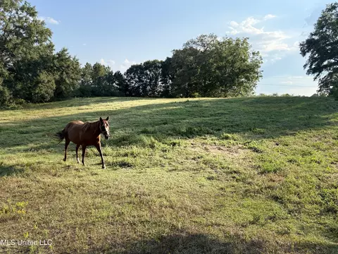 139 Collier Cv, Brandon, MS 39042 photo 9