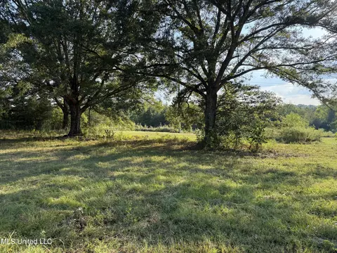 139 Collier Cv, Brandon, MS 39042 photo 3