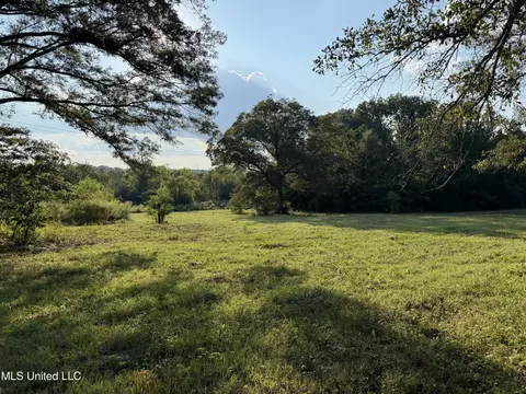 139 Collier Cv, Brandon, MS 39042