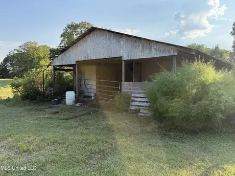 139 Collier Cv, Brandon, MS 39042 photo 19