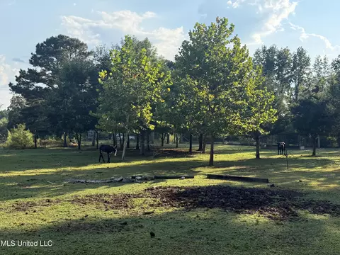 139 Collier Cv, Brandon, MS 39042 photo 6