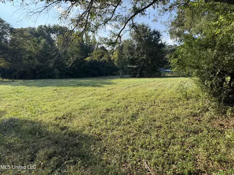 139 Collier Cv, Brandon, MS 39042 photo 2