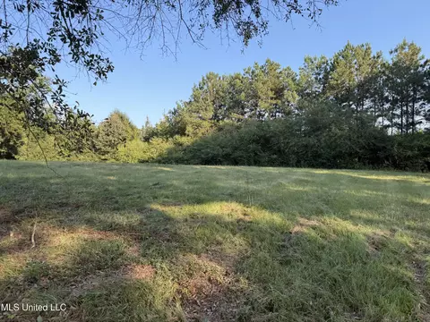 139 Collier Cv, Brandon, MS 39042 photo 5