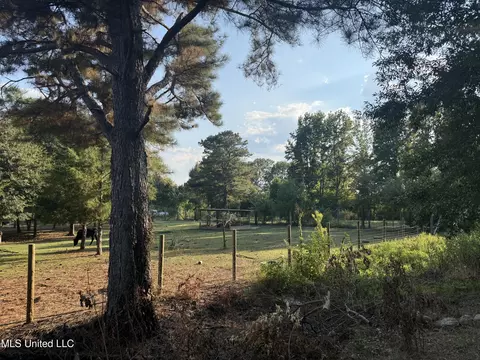 139 Collier Cv, Brandon, MS 39042 photo 13