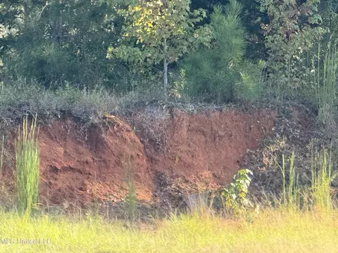139 Collier Cv, Brandon, MS 39042 photo 17