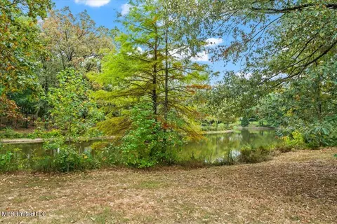 Other - 791 Hickory Ridge Dr, Hernando, MS 38632 photo 2 of 13