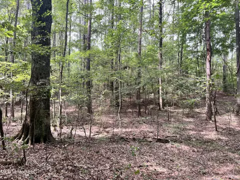 Brock Cir, Brandon, MS 39042