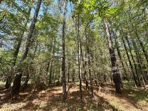 3 Forest Service Road 562, Pulaski, MS 39152 photo 45
