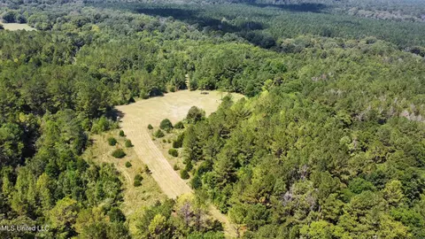 3 Forest Service Road 562, Pulaski, MS 39152 photo 58