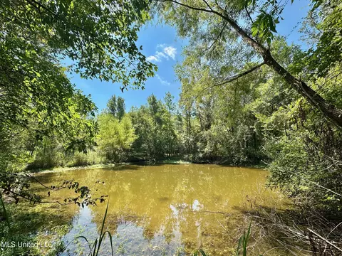 3 Forest Service Road 562, Pulaski, MS 39152 photo 37