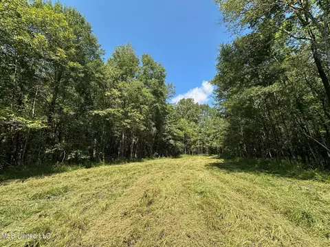 3 Forest Service Road 562, Pulaski, MS 39152 photo 38