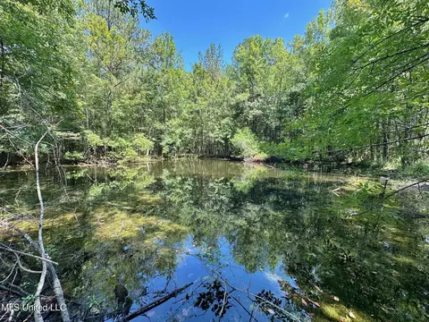 3 Forest Service Road 562, Pulaski, MS 39152 photo 18