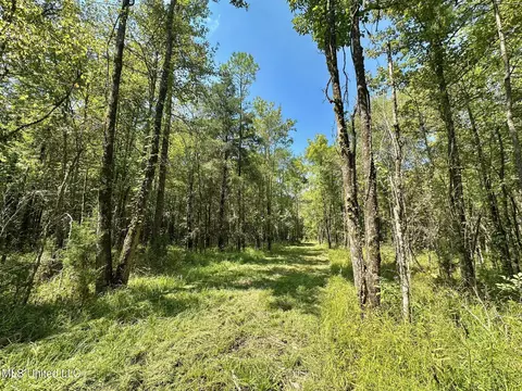 3 Forest Service Road 562, Pulaski, MS 39152 photo 35