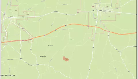 3 Forest Service Road 562, Pulaski, MS 39152 photo 16